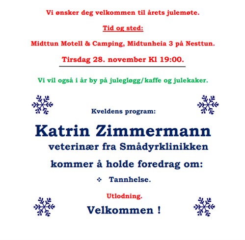 Julemøte annonsen.png